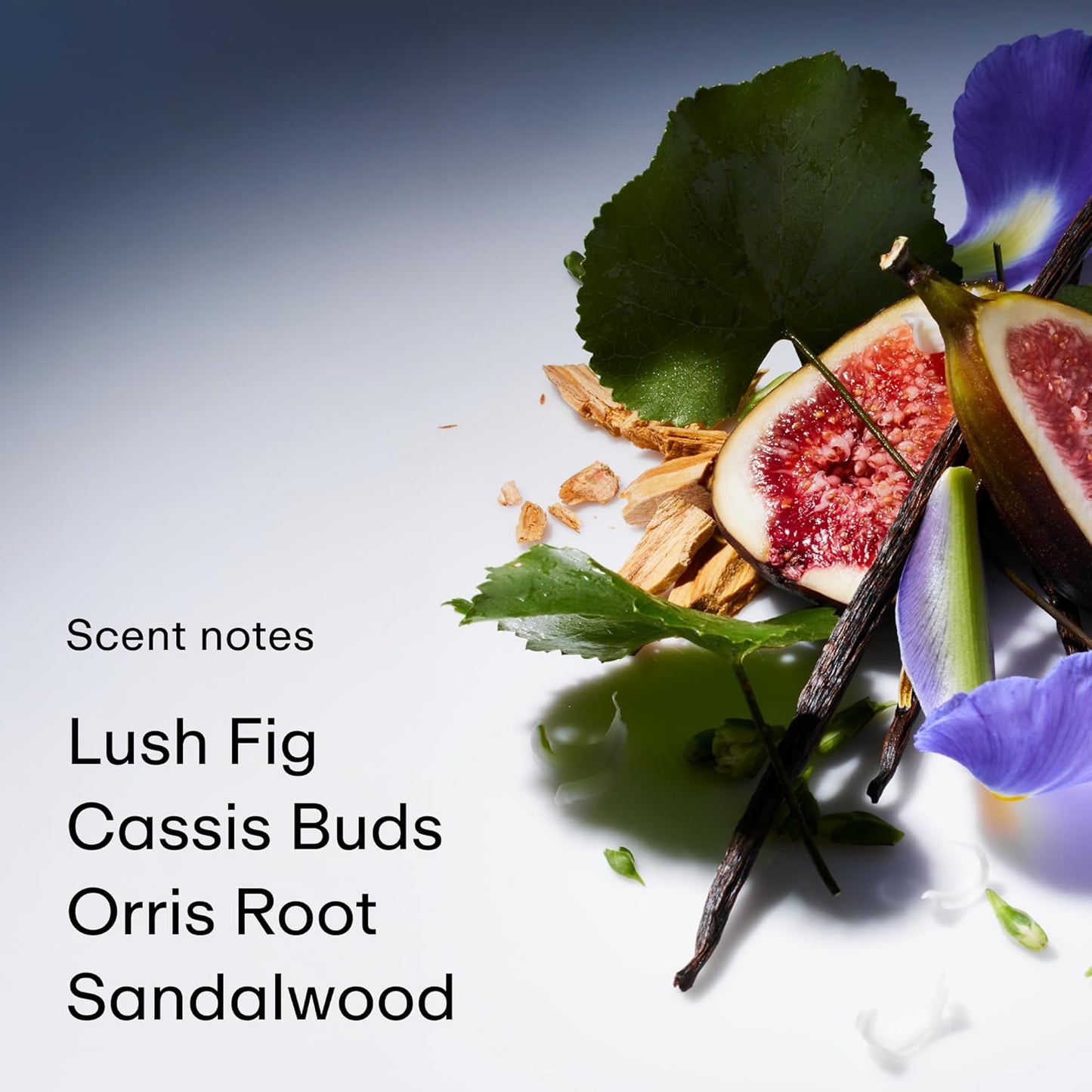 PHLUR Father Figure Eau de Parfum - Full Size Perfume Fragrance - Green Fresh Fig Perfume with Iris, Jasmine, Patchouli, Sandalwood & Vanilla (50mL)