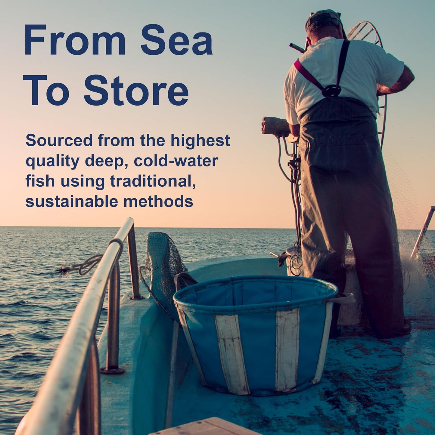 Carlson Labs Elite Omega-3, 1600 mg, Gems Fish Oil Soft Gels, Natural Lemon Flavor, 2 Pack (120 Count Each)