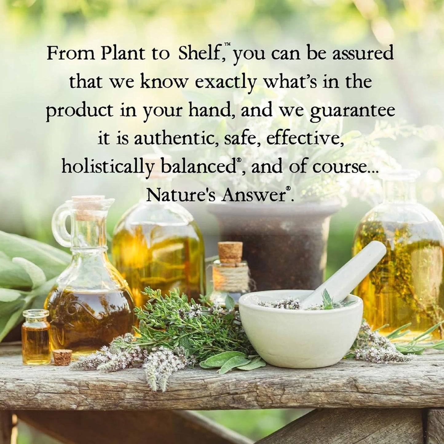 Nature's Answer PerioBrite Alcohol-Free Mouthwash, Cinnamon, 16-Fluid Ounce | Whitens Teeth | Freshens Breath | Removes Plaque | Minimizes Dry Mouth (Pack of 1)