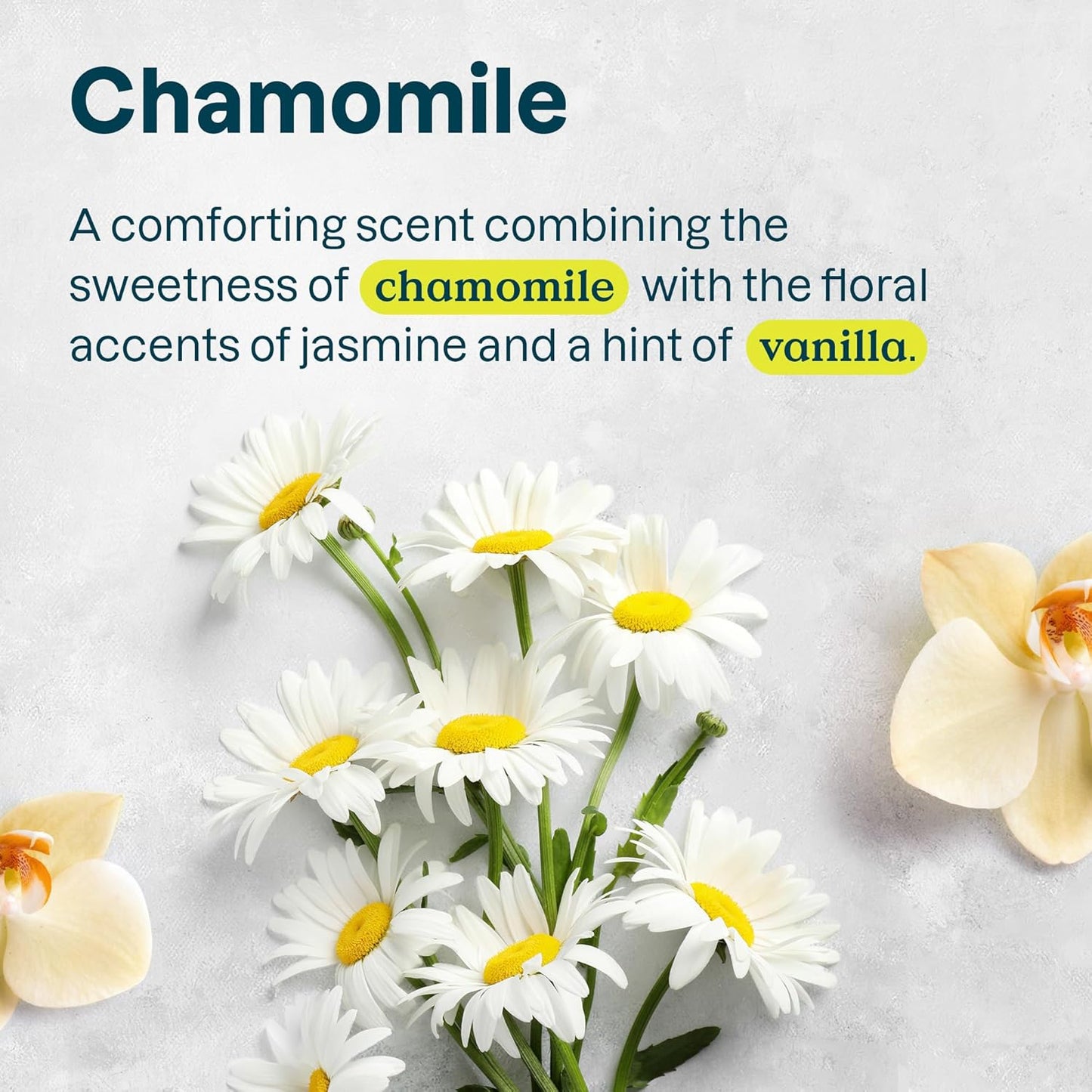 ATTITUDE Baking Soda Free Deodorant for Sensitive Skin with Oatmeal and Chamomile, EWG Verified, Aluminum Free, Plastic-Free, 3 Ounces