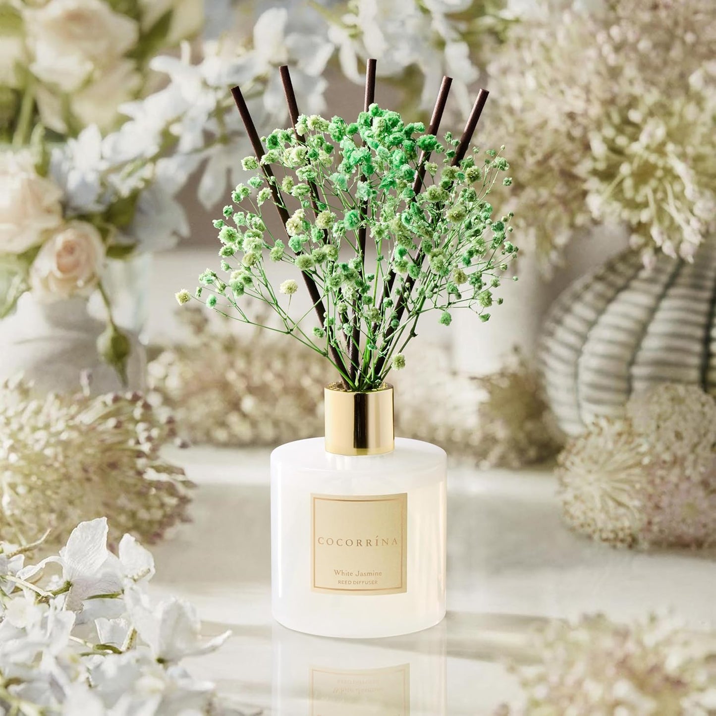 COCORRÍNA Reed Diffuser - White Jasmine 6.7 Fl.oz Reed Diffuser Set with Sticks & Preserved Baby's Breath, Reed Diffuser for Home Bathroom Shelf Decor