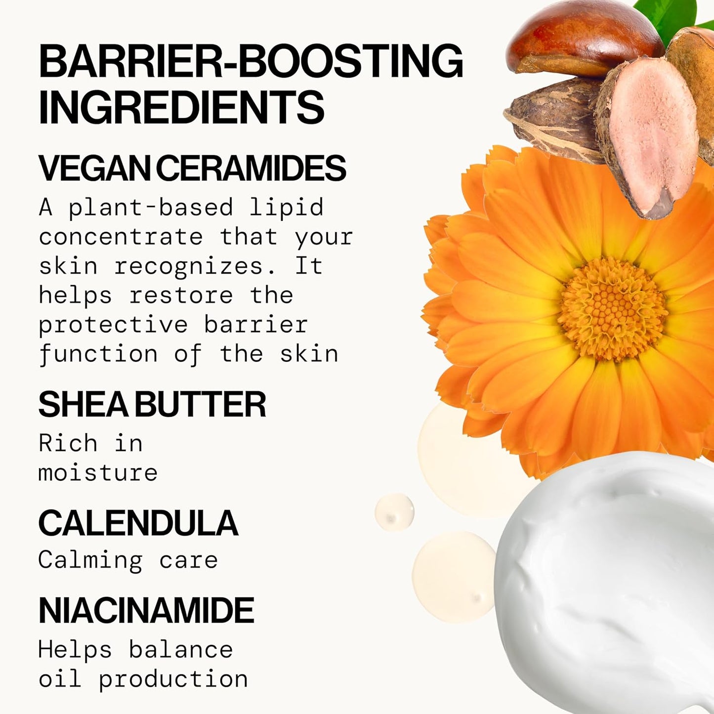 Pacifica Face Cream - Vegan Ceramide Barrier Cream w/Niacinamide & Shea Butter - Hydrating Daily Face Moisturizer Fragrance Free for Sensitive Skin, Vegan, Clean Beauty Allergy & Dermatologist Tested