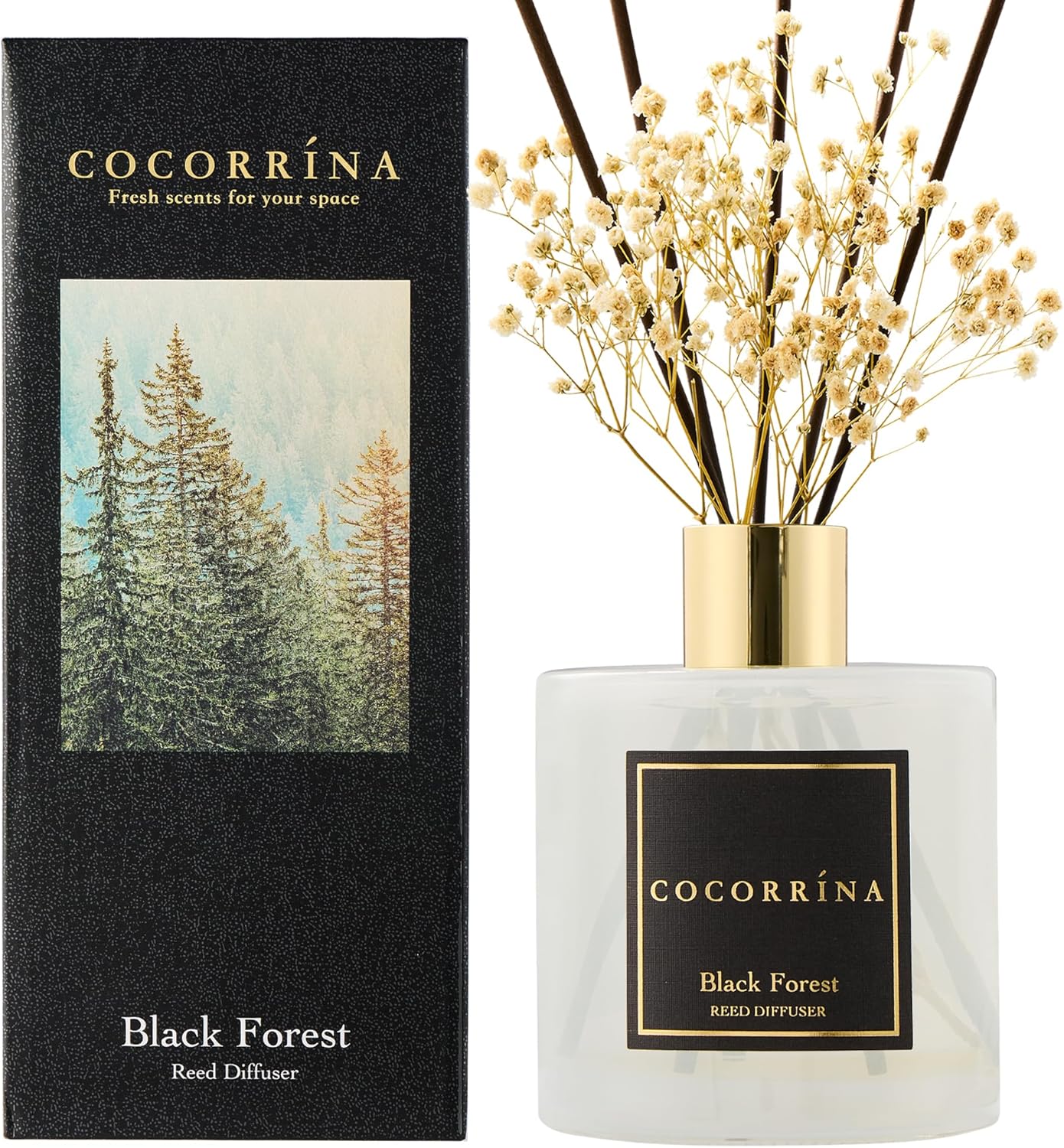 COCORRÍNA Reed Diffuser - Black Forest 17 Fl.oz Reed Diffuser with 8 Sticks Scented Diffuser with Preserved Flowers for Bathroom Home Decor