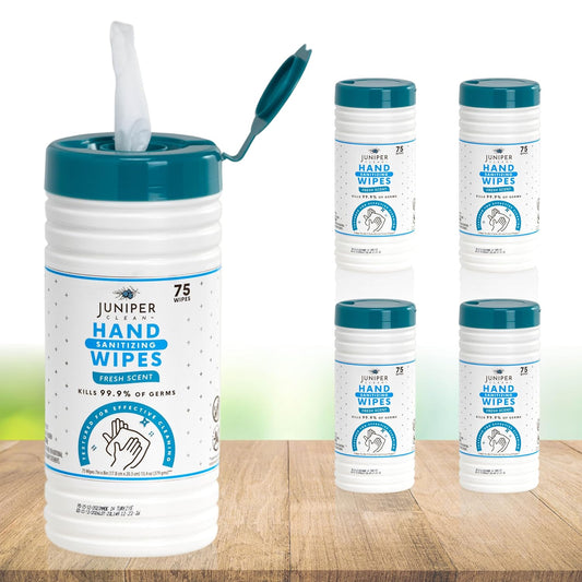 4 Pack Hand Sanitizing Wipes, Alcohol Free 300 Count Canister Disposable Hand Sanitizer Wipes, Fresh Scent, Lint Free & Durable
