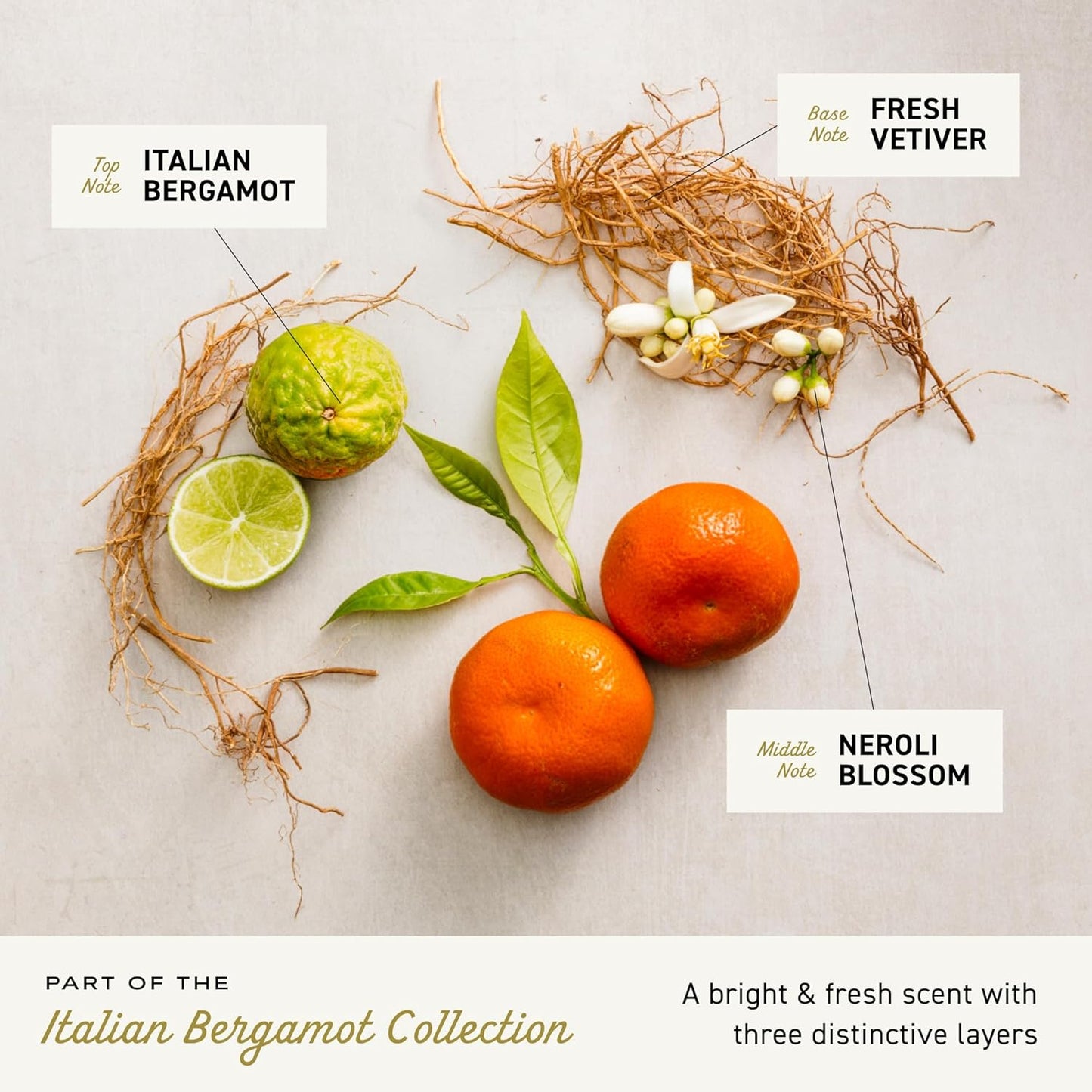 Cremo Italian Bergamot 2 in 1 Shampoo & Conditioner for Men, Notes of Italian Bergamot, Neroli Blossom, and Fresh Vetiver, 16 Fl Oz