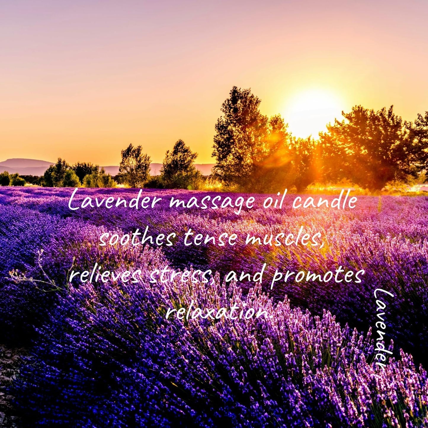 MELONY Massage Oil Candle for Pure Relaxation- 8.1 oz- Moisturizing Essential Oil Body Massage Candle for Home Spa- Amazing Gift for Women & Men (Lavender)