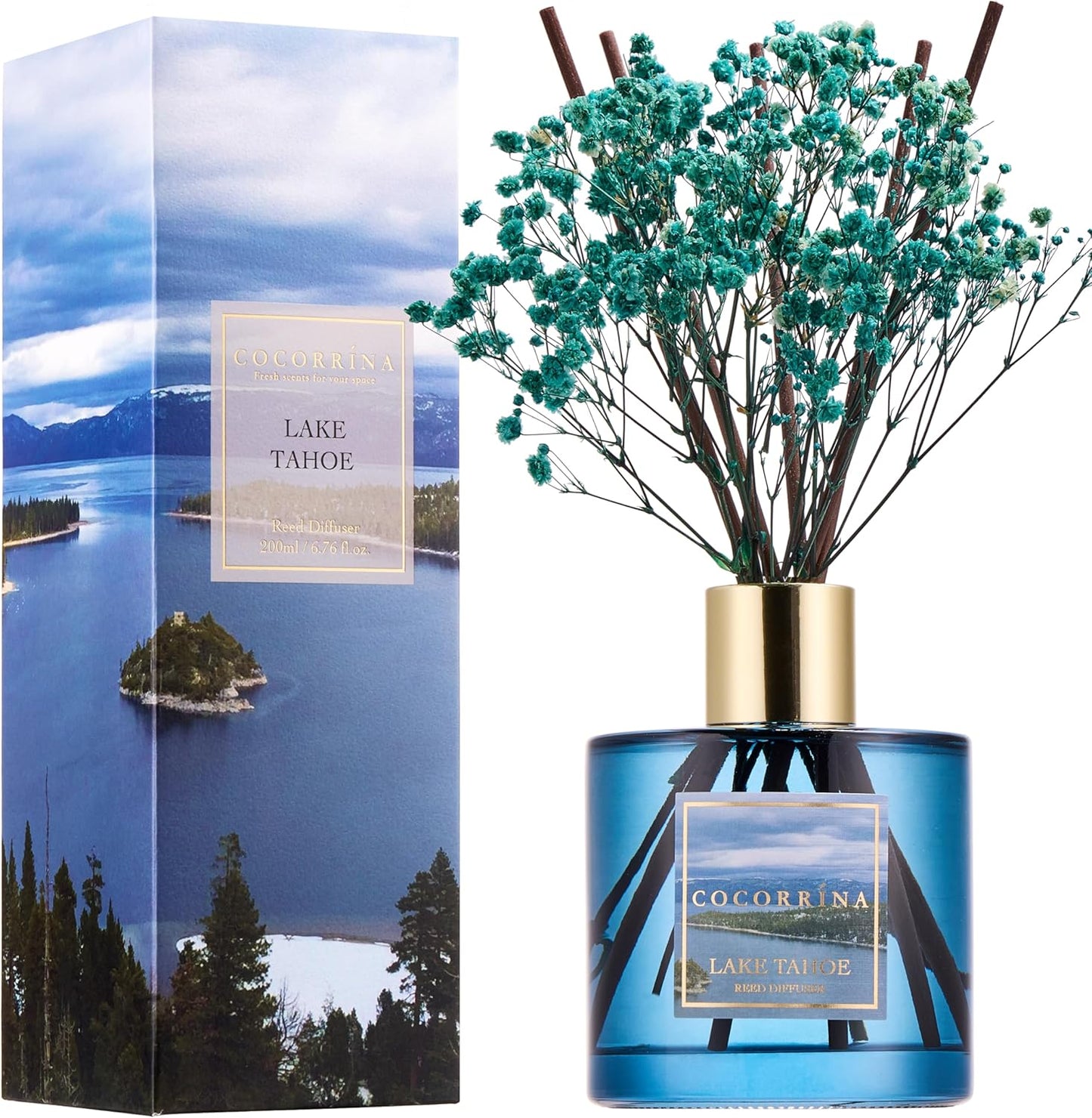 COCORRÍNA Reed Diffuser - Lake Tahoe 6.7 Fl.oz Reed Diffuser Set with 8 Sticks & Preserved Baby's Breath, Reed Diffuser for Home Bathroom Shelf Decor