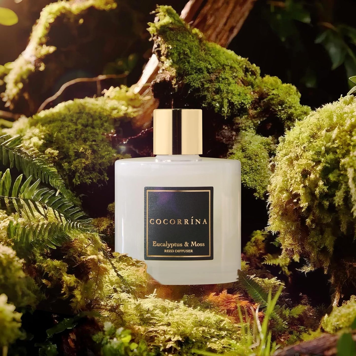 Cocorrína Reed Diffuser Sets- Eucalyptus & Moss Scented Diffuser with Sticks Home Fragrance Reed Diffuser for Bathroom Shelf Decor