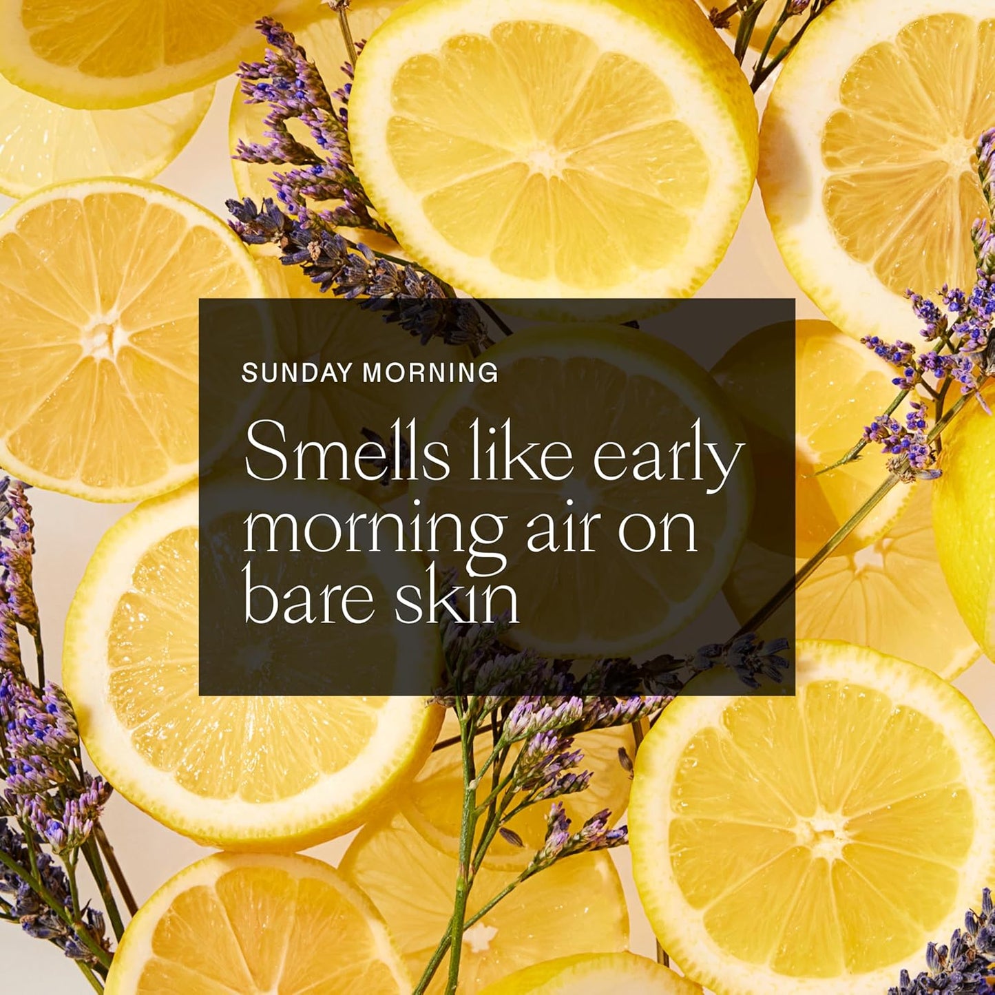 Each & Every Aluminum Free Deodorant for Women & Men, Lavender & Lemon - All Natural Deodorant for Sensitive Skin, EWG Verified - Clean, Baking Soda-Free, Plant-Based Fragrance - 2.5oz, 2 Pack